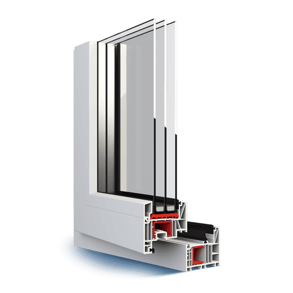 Salamander bluEvolution 82